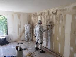 Professional Mold Removal & Remediation in Clayton, NC